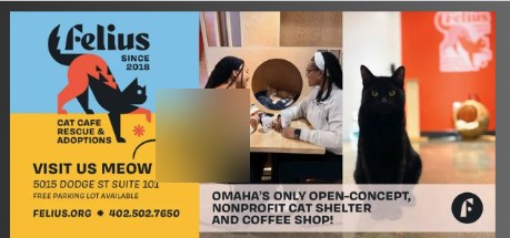 Felius Cat Cafe advertisement sample